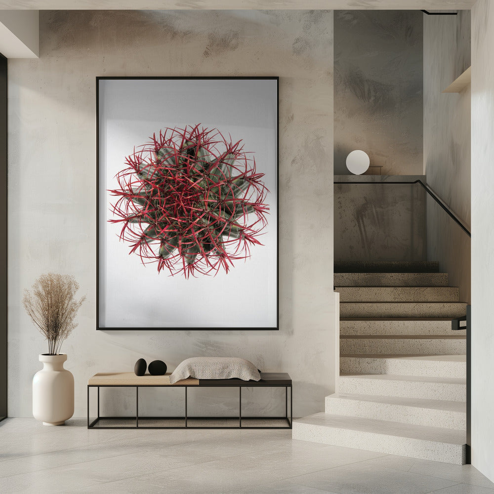 Cacti Poster